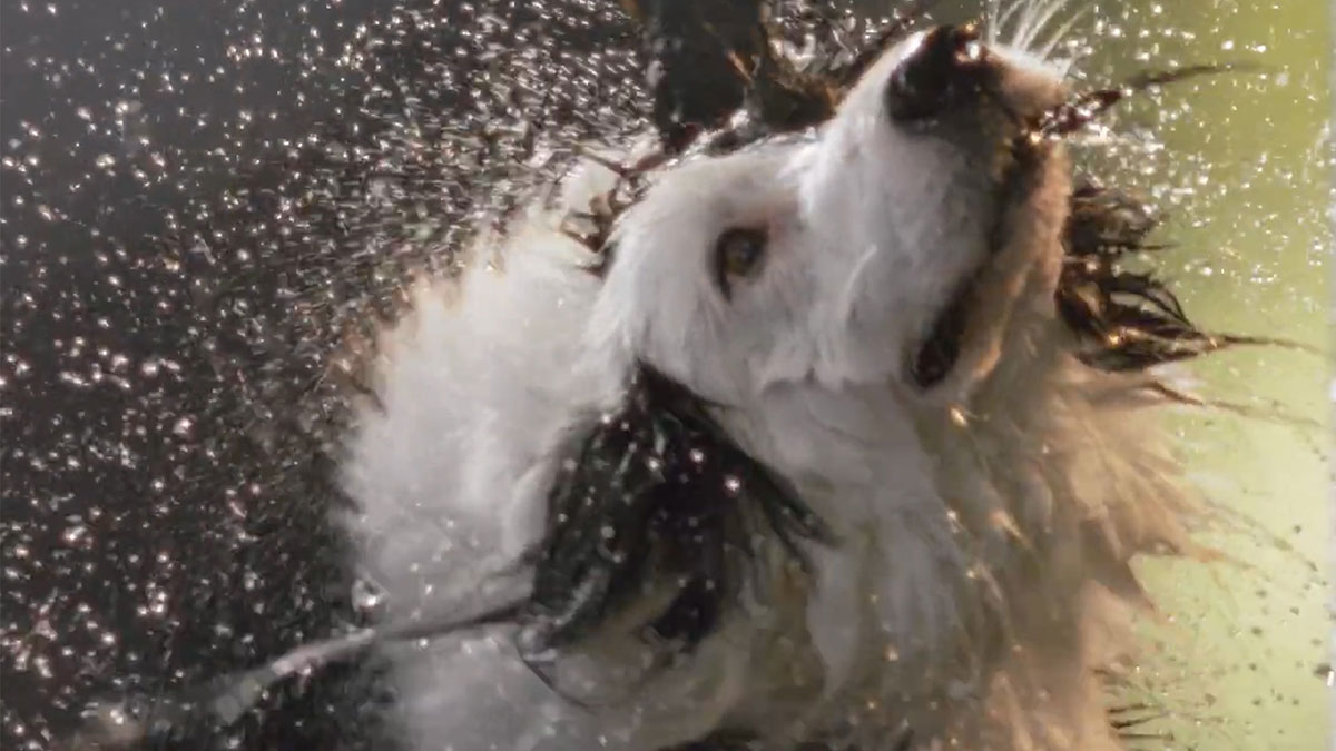 Cullingan | Water You Love